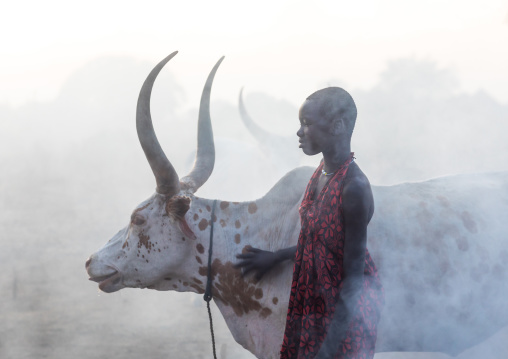 Mundari tribe woman with long horns cows in a camp, Central Equatoria, Terekeka, South Sudan