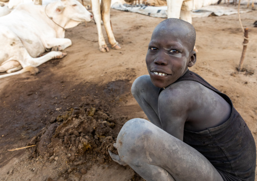 Mundari tribe boy collecting dried cow dungs to make bonfires to repel mosquitoes and flies, Central Equatoria, Terekeka, South Sudan