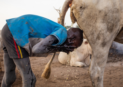 Mundari tribe boy showering in the cow urine to dye his hair in orange, Central Equatoria, Terekeka, South Sudan