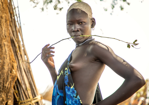 Portrait of a beautiful Mundari young woman with ash on the head to dye her hair in red, Central Equatoria, Terekeka, South Sudan