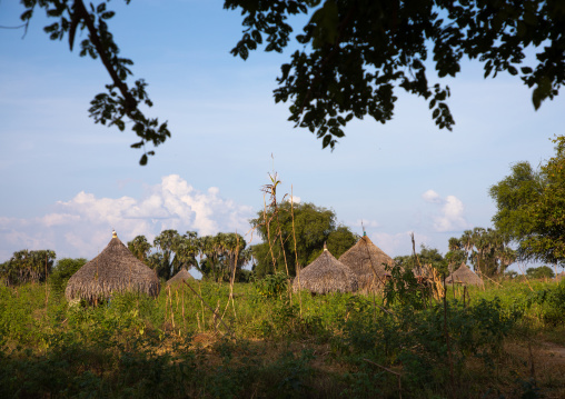 Traditional Mundari tribe village, Central Equatoria, Terekeka, South Sudan
