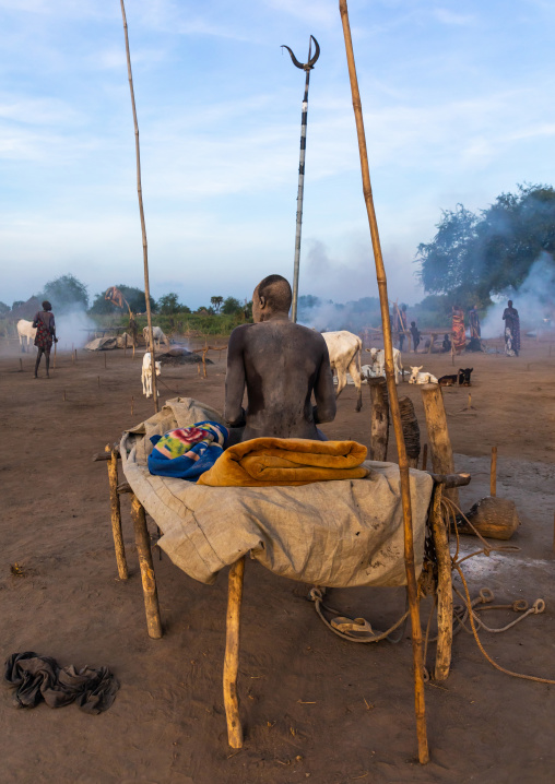 Mundari tribe man resting on a wooden bed in the middle of his long horns cows, Central Equatoria, Terekeka, South Sudan