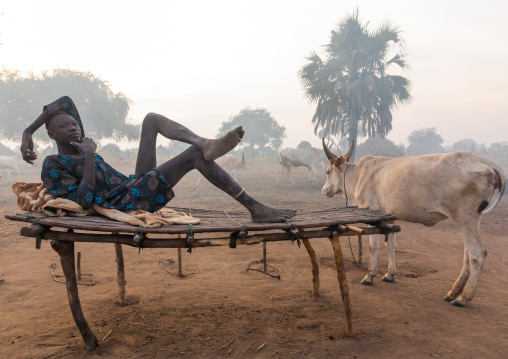 Mundari tribe man resting on a wooden bed in the middle of his long horns cows, Central Equatoria, Terekeka, South Sudan