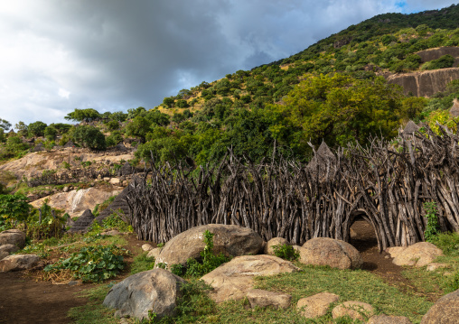 Lotuko tribe village with thatched houses and wood fences, Central Equatoria, Illeu, South Sudan