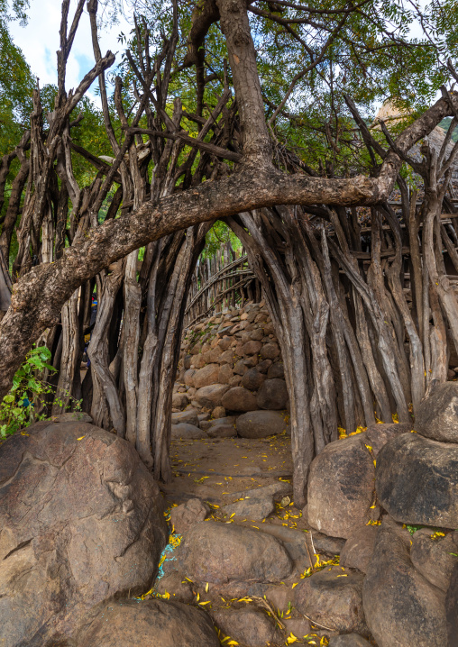 Lotuko tribe village with thatched houses and wood fences, Central Equatoria, Illeu, South Sudan