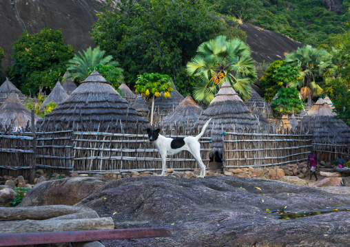 Lotuko tribe village with thatched houses, Central Equatoria, Illeu, South Sudan