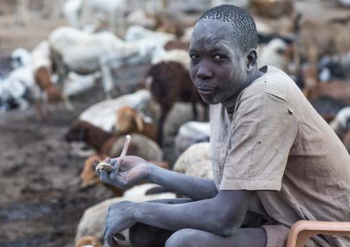 Mundari tribe man with face covered in ash with his sheeps in a camp, Central Equatoria, Terekeka, South Sudan