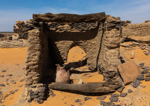 Broken beehive tomb, Nubia, Old Dongola, Sudan