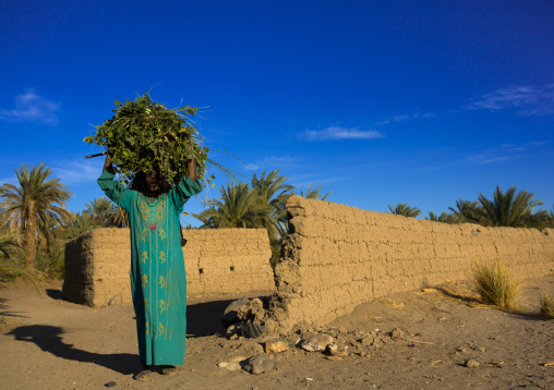 Sudan, Nubia, Soleb, woman carrying grass on her head