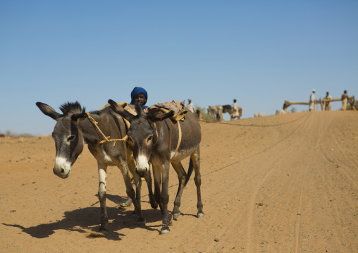 Sudan, Nubia, Naga, people taking water from a well in the desert