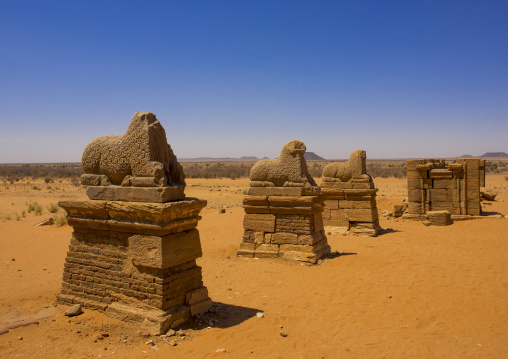 Sudan, Nubia, Naga, rams statues in amun temple rams