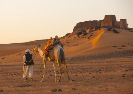 Sudan, Kush, Meroe, man and his camel in front of the pyramids and tombs in royal cemetery