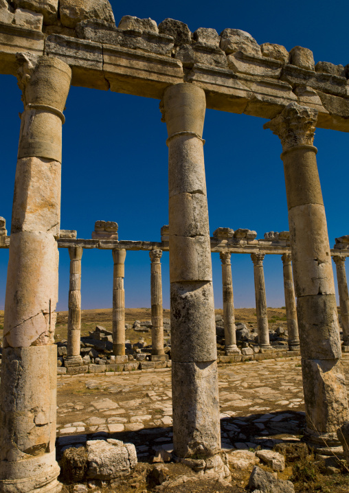 Columned Ancient Street, Apamea, Hama Governorate, Syria