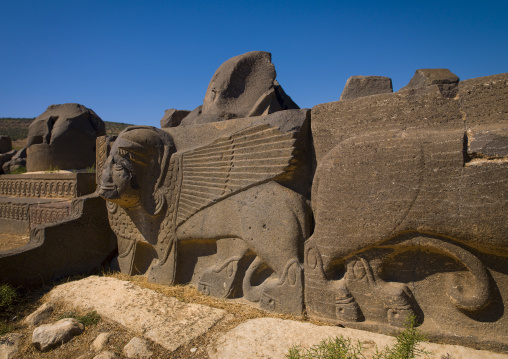 Massive Basalt Hittite Lion Carving, Hama, Hama Governorate, Syria