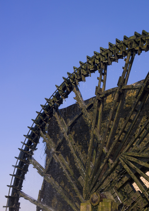 The Norias Of Bechriyyat, Hama, Hama Governorate, Syria