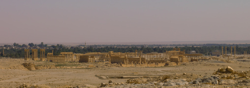 The Ancient Roman City, Palmyra, Syrian Desert, Syria
