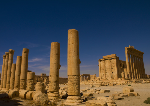 The Ancient Roman City, Palmyra, Syrian Desert, Syria