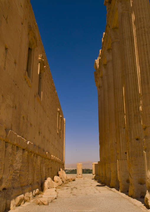 The Ancient Roman City, Palmyra, Syrian Desert, Syria