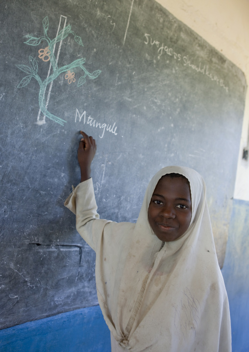 School in pemba, Tanzania