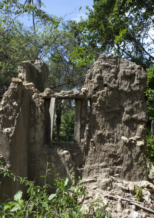 Pujini ruins, Pemba, Tanzania