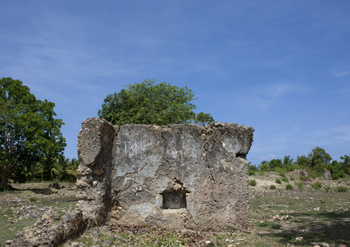 Pujini ruins, Pemba, Tanzania