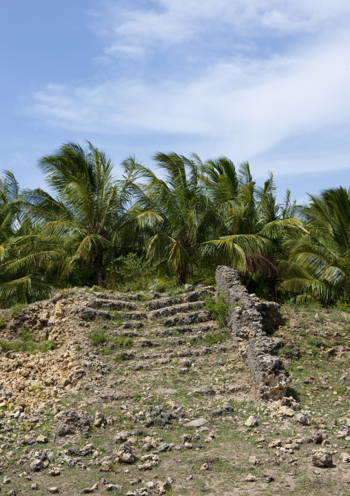 Pujini ruins, Pemba, Tanzania