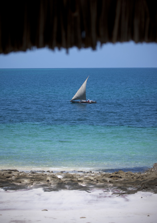 Dhow in pemba, Tanzania