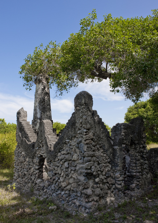 Kunduchi ruins, Tanzania