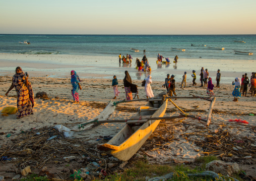 Tanzania, Zanzibar, Kizimkazi, a wooden fishing dhow resting on a sandy beach