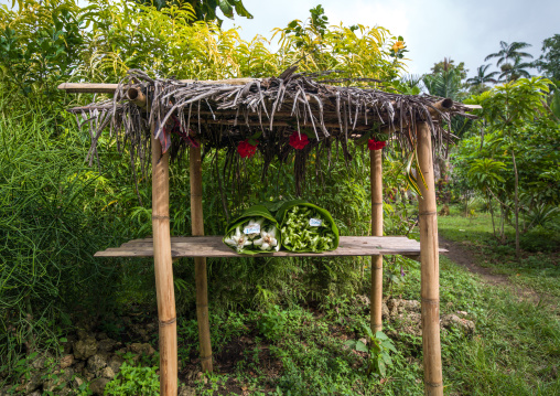 Shop without vendor where people take the vegetables and let money, Efate Island, Port Vila, Vanuatu