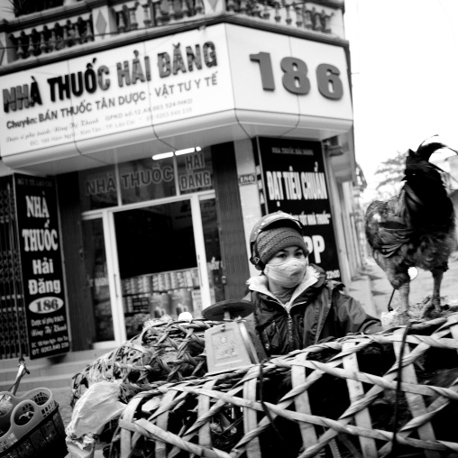 Woman with a chicken on her motorbike, Sapa, Vietnam