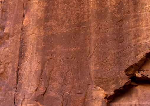 Rock carving depicting a cow, Tassili N'Ajjer National Park, Tadrart Rouge, Algeria