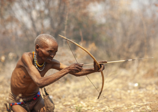 Old san man bending his bow, Otjozondjupa, Tsumkwe, Namibia