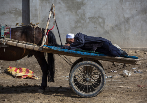 Uyghur man sleeping in his cart in market, Yarkand, Xinjiang uyghur autonomous region, China