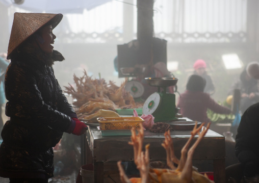 Woman with conical hat selling chickens at the market, Lao Cai province, Sapa, Vietnam