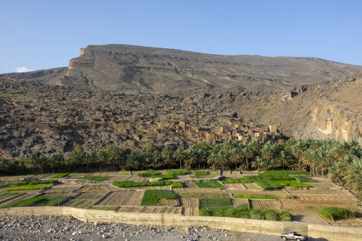 Terraced fields and a parked pickup truck beneath abandoned stone ruins and a dramatic rocky escarpment, Ad Dakhiliyah Region, Misfat al Abriyyin, Oman