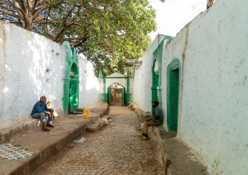 Ethiopian men sit inside Aw Abadir Awaach shrine, Harari Region, Harar, Ethiopia