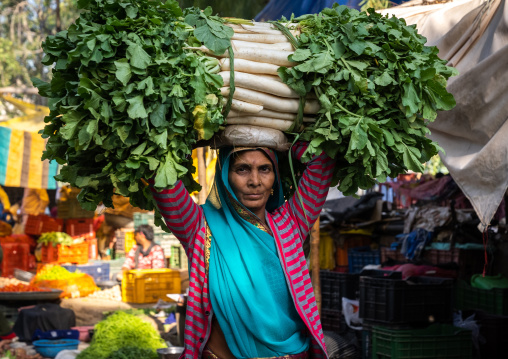 Indian woman carrying vegetables on the head, Rajasthan, Jaipur, India