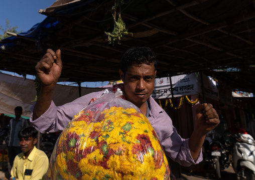 Marigold for sale in the flower market, Rajasthan, Jaipur, India