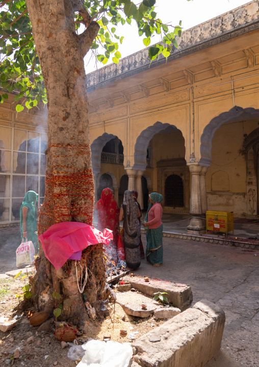 Rajasthani women praying in Galtaji temple aka monkey temple, Rajasthan, Jaipur, India