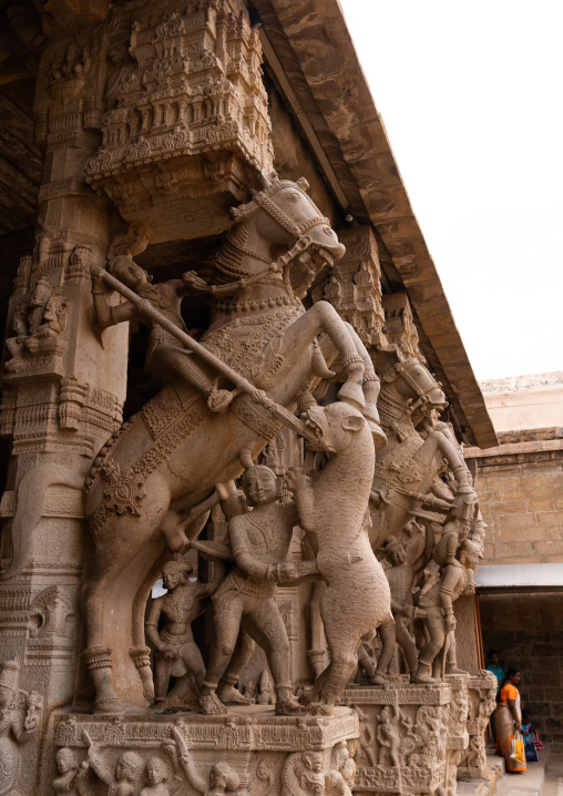 Horse rearing During A Fight In Front Of A White Gopuram in Sri Ranganathaswamy Temple, Tamil Nadu, Tiruchirappalli, India