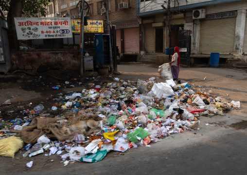 Indian woman collecting garbages in the street, Rajasthan, Jaipur, India