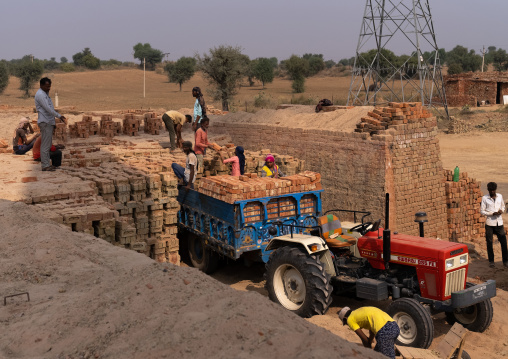 Indian workers in a brick factory, Rajasthan, Mandawa, India