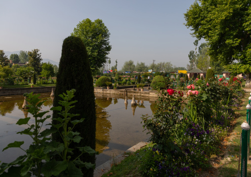 ￼Pool in Shalimar Bagh Mughal garden, Jammu and Kashmir, Srinagar, India