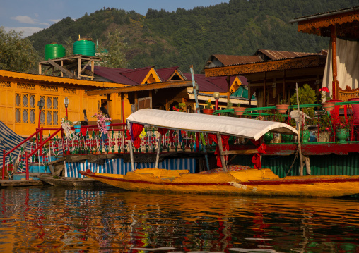 Houseboats on Dal Lake, Jammu and Kashmir, Srinagar, India