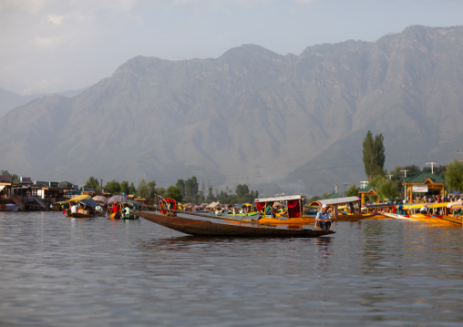 Shikara boat on Dal Lake, Jammu and Kashmir, Srinagar, India