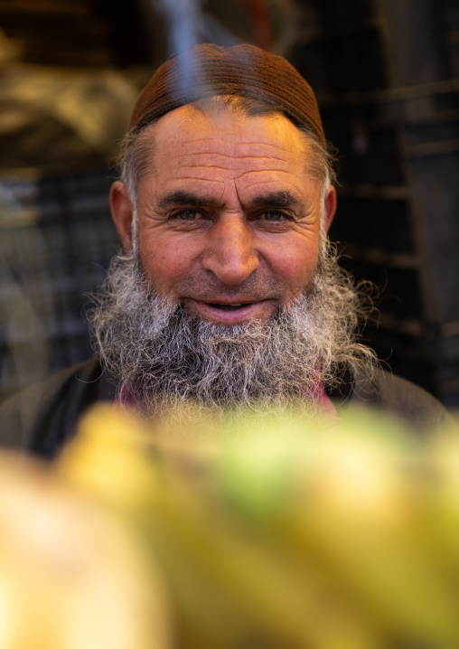 Portrait of a smiling Gujjar Bakerwal bearded man, Jammu and Kashmir, Kangan, India