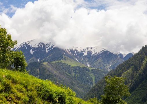 Mountain ladscape, Jammu and Kashmir, Kangan, India