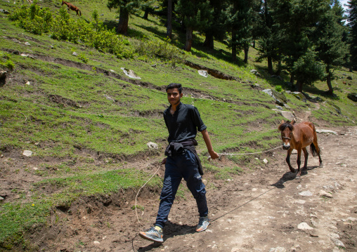 Kashmiri man with his horse, Jammu and Kashmir, Kangan, India