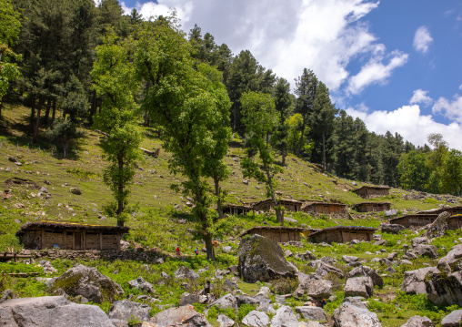 Nomad homes for the summer, Jammu and Kashmir, Kangan, India